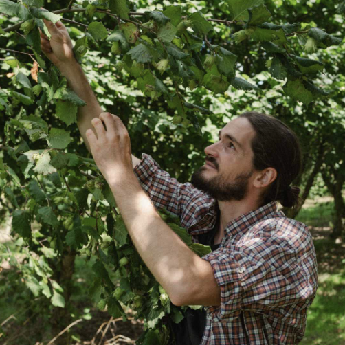 Capture d’écran 2025-11-13 à 11.29.21 Capture d’écran 2025-11-13 à 11.29.21