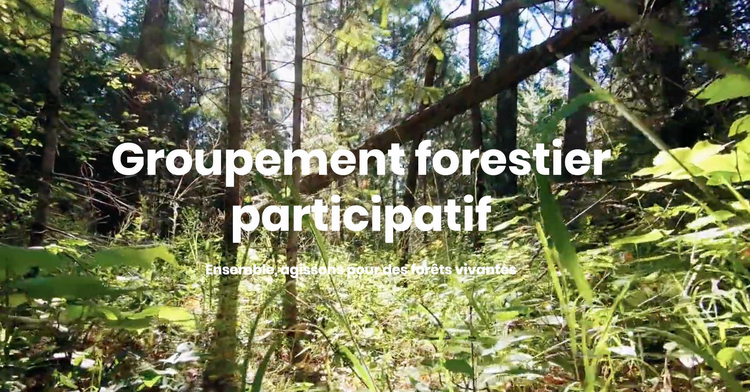 Groupement forestier