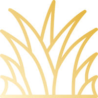 grass