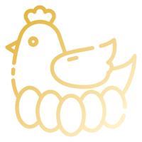 poule (2)